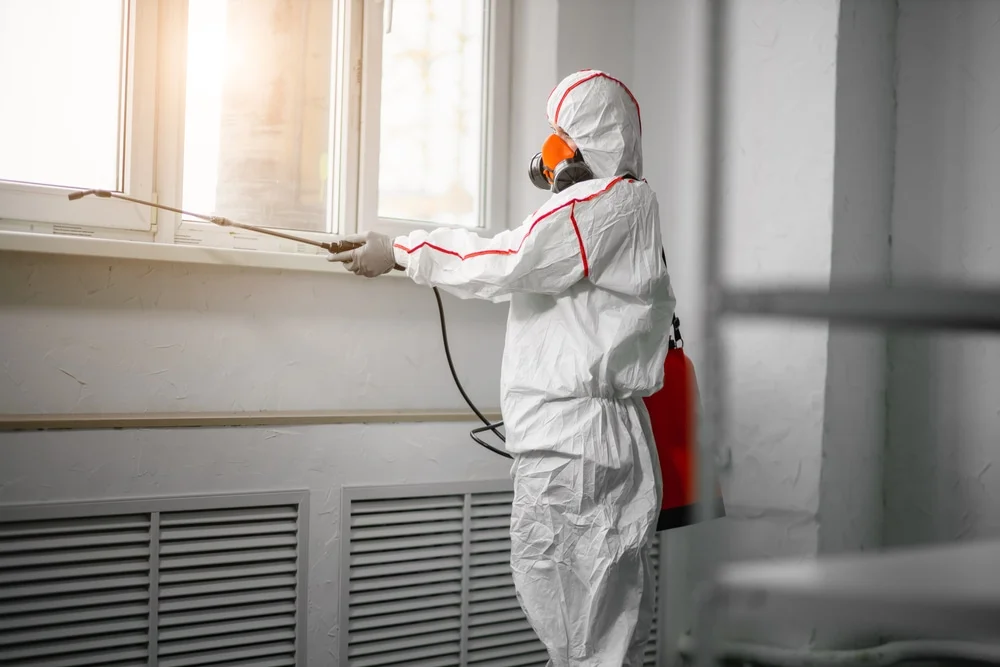 Professional mold remediation services in Bretton Woods, NH